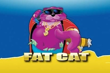 fat-cat