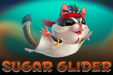 sugar-glider