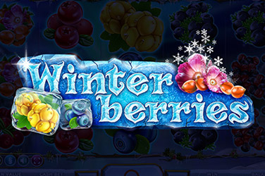 winterberries